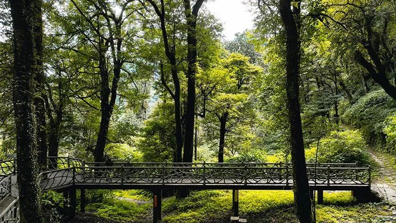 怒江活動策劃：有一種生活叫云南的怒江丨一起去姚家坪，上一堂自然課